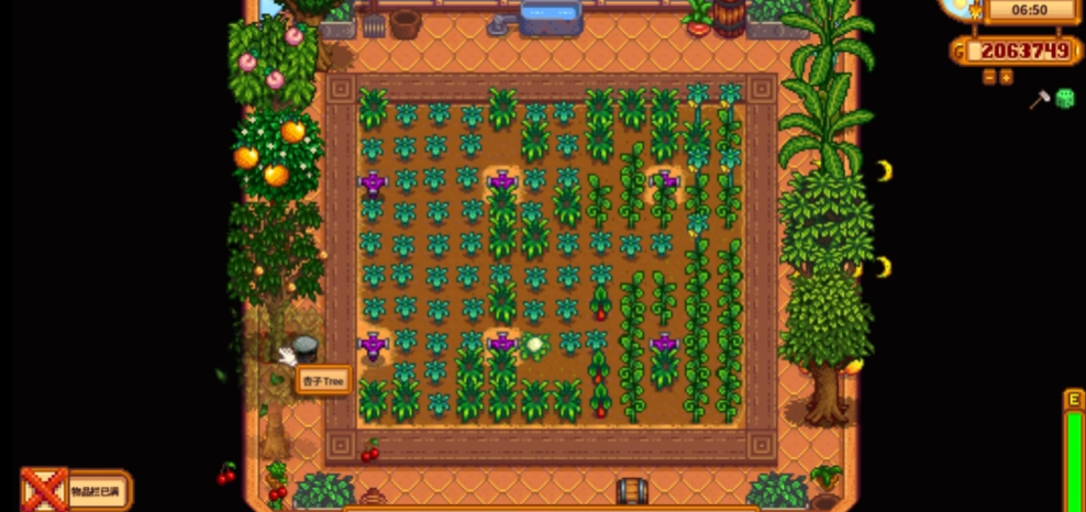 星露谷物语能种植什么农作物