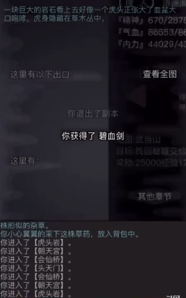 放置江湖天山用什么剑好