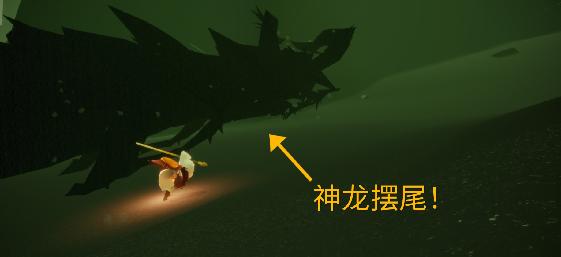 光遇的驯龙有什么用