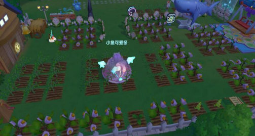 摩尔庄园魔灯花种子怎么得