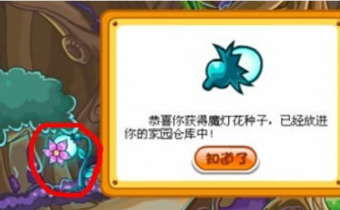摩尔庄园魔灯花种子怎么得