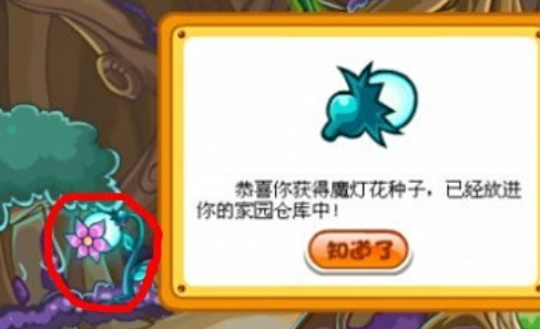 摩尔庄园怎么魔灯花种子