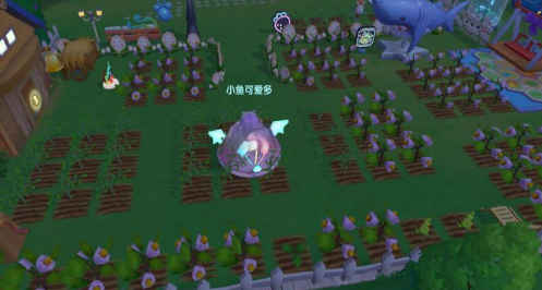 摩尔庄园怎么魔灯花种子