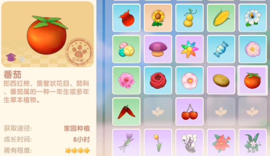 摩尔庄园手游西红柿怎么获得