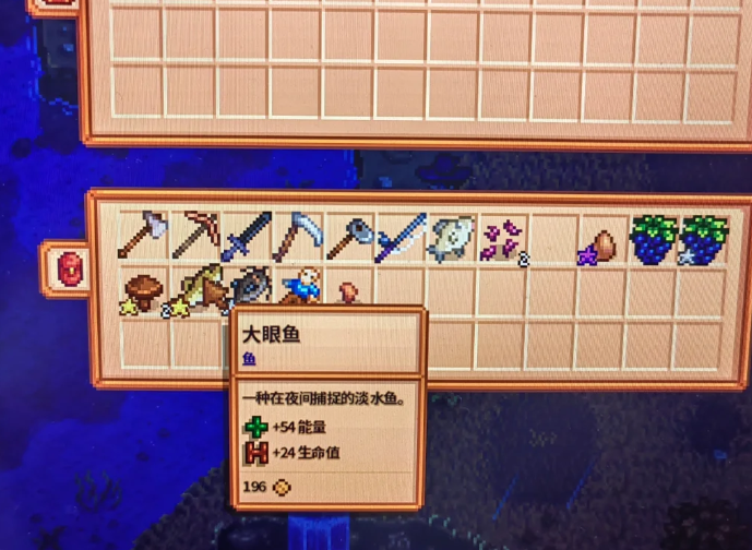 星露谷物语大眼鱼在哪里钓
