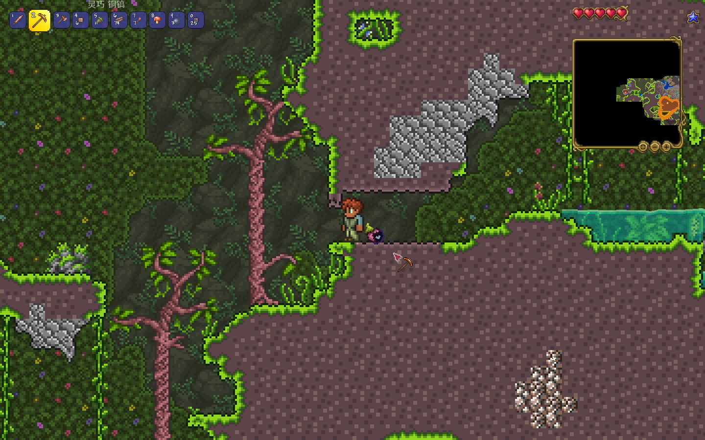 泰拉瑞亚世纪花在哪打