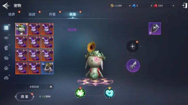 无神之界盾卫带什么宠物 无神之界盾卫带什么宠物