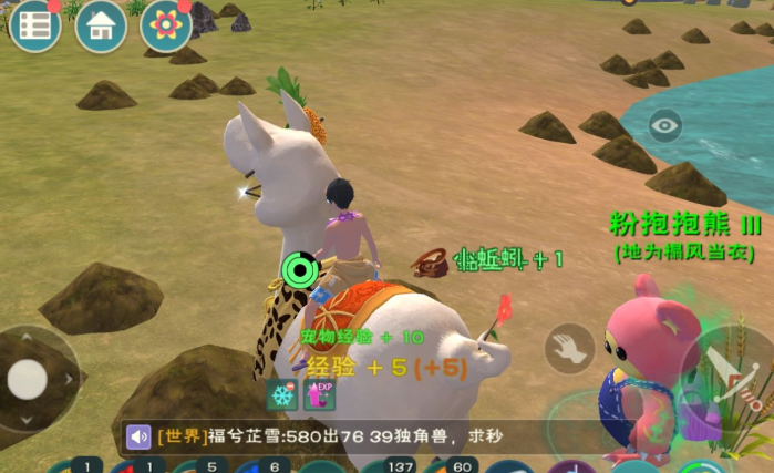 创造与魔法弹涂鱼哪里钓率高