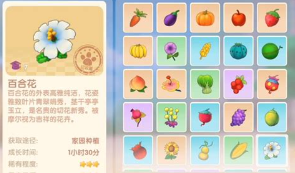 摩尔庄园百合花怎么获取