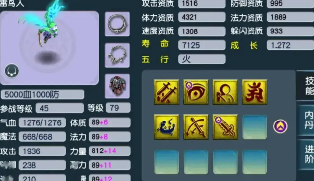 梦幻西游合宠属于什么属性