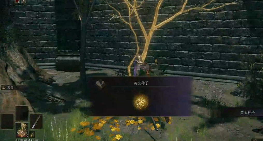 艾尔登法环开全图怎么开