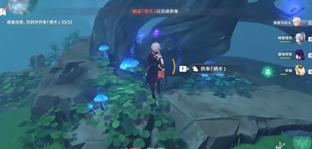 原神栖木怎么供奉