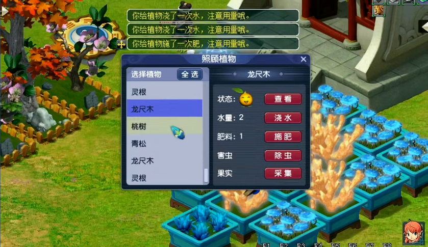 梦幻西游4级种子种植后会得到什么