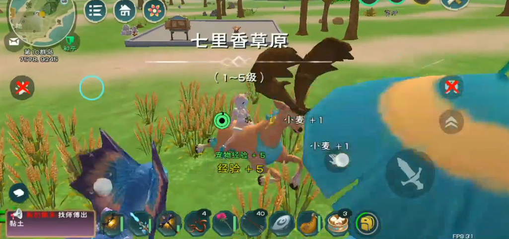 创造与魔法小麦田具体坐标在哪里 创造与魔法小麦田具体坐标在哪里