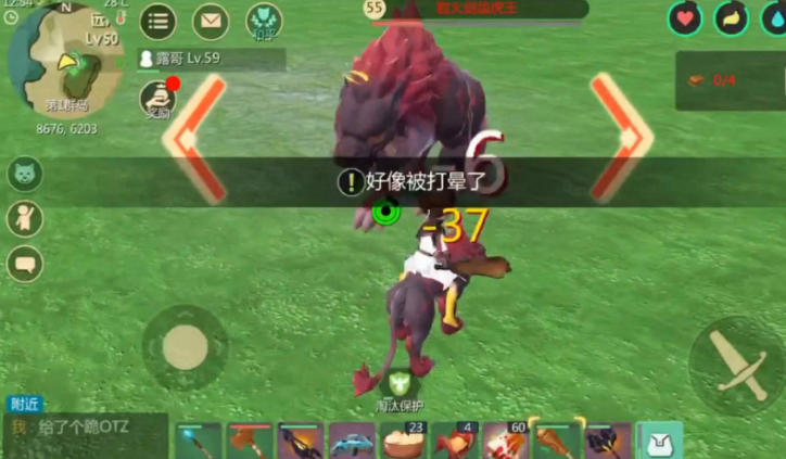 创造与魔法稀有肉在哪里弄 创造与魔法稀有肉在哪里弄