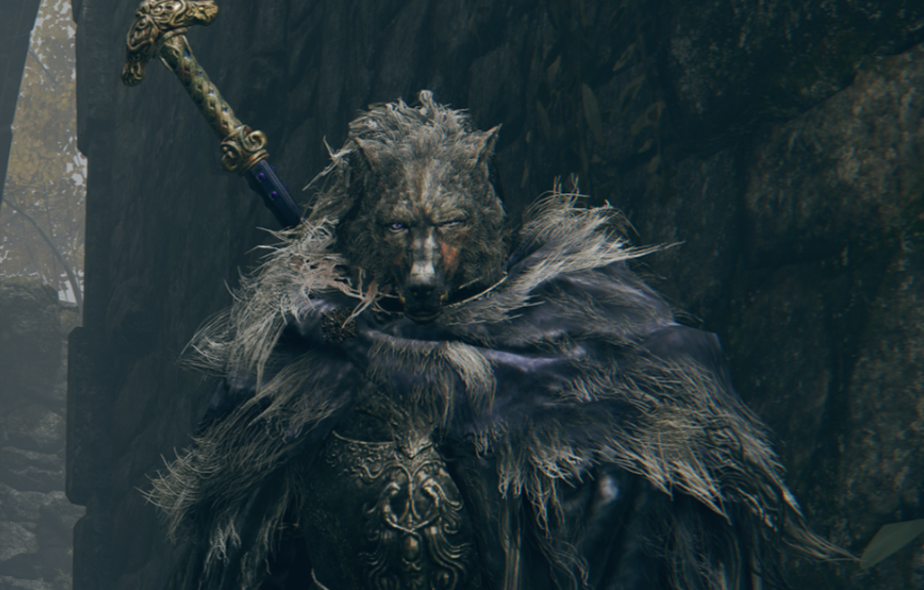 艾尔登法环剑士最强套装是什么 艾尔登法环剑士最强套装是什么