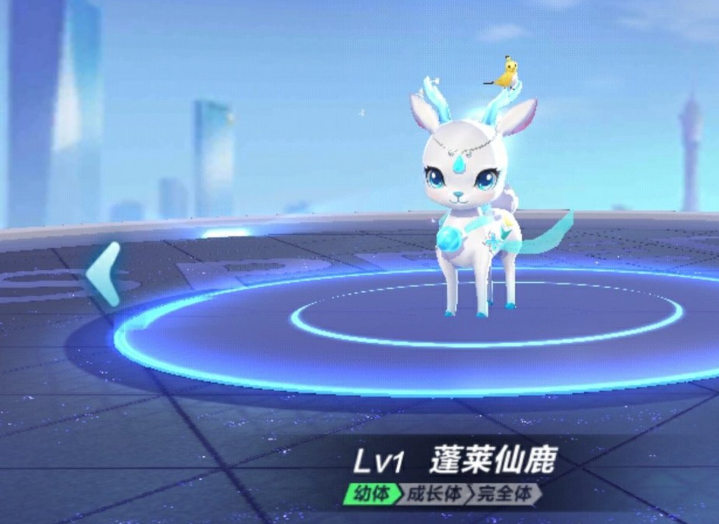 qq飞车免费宠物哪个最好