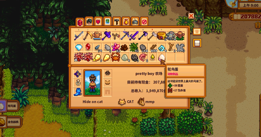 星露谷物语日记残页10在哪里