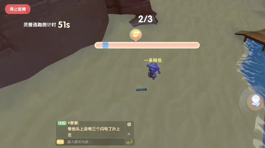 摩尔庄园怎么捉宠物