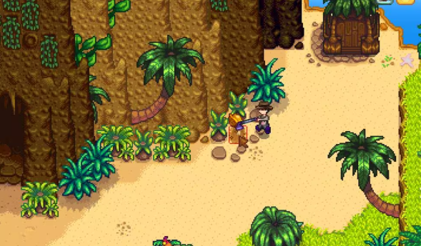 星露谷物语姜岛怎么过