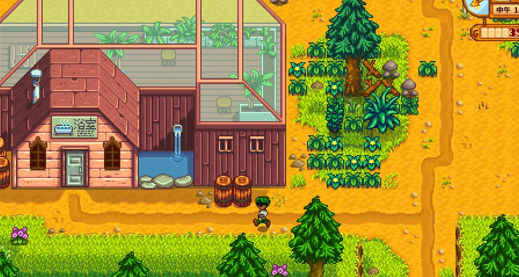 星露谷物语温泉山洞怎么进去