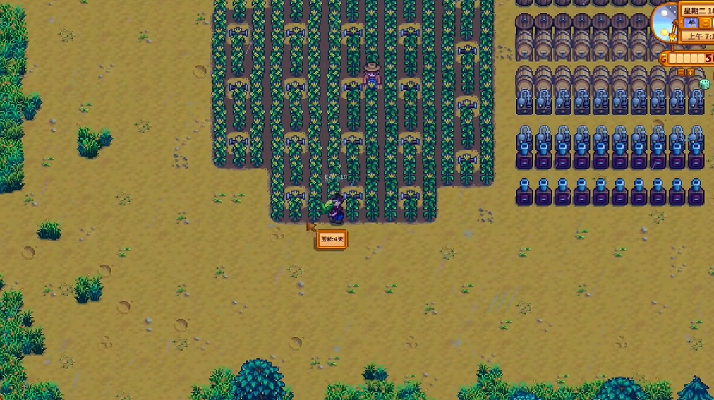 星露谷物语玉米怎么赚钱