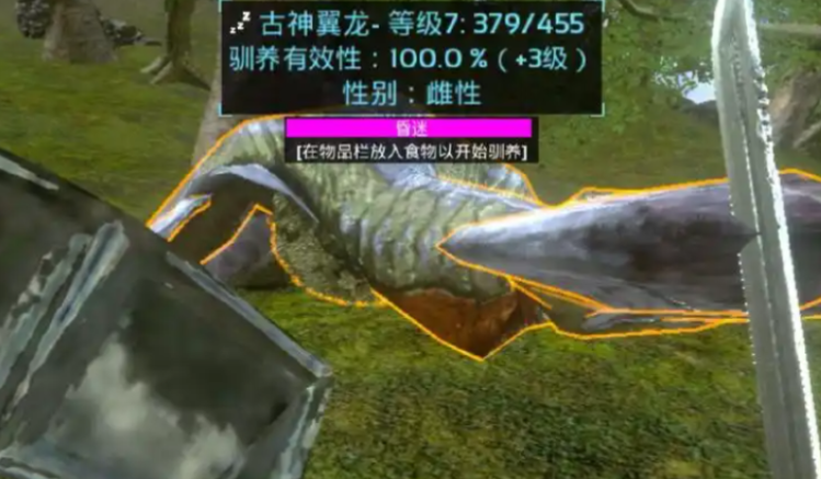 方舟生存进化古神翼龙怎么抓