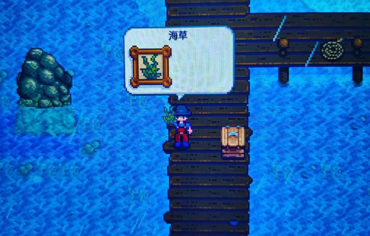 星露谷物语海草哪里买