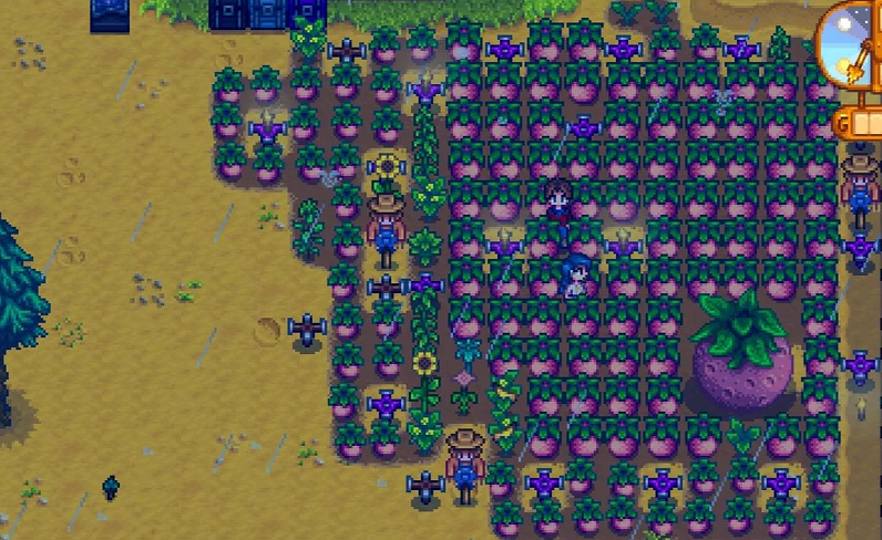 星露谷物语夏季作物怎么选