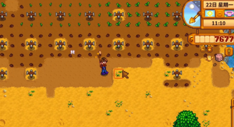 星露谷物语耕种怎么快速升级