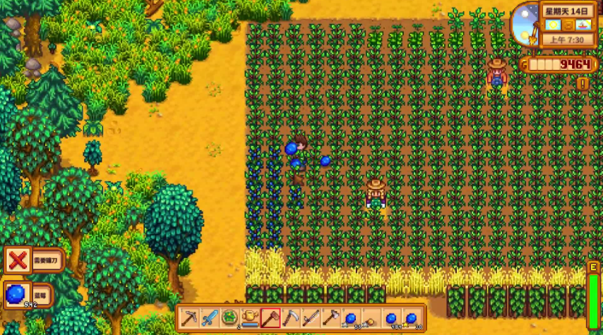 星露谷物语蓝莓怎么卖赚钱