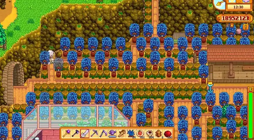 星露谷物语夏天种什么树