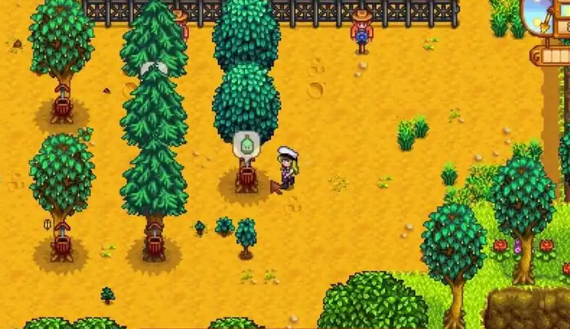 星露谷物语夏天种什么树