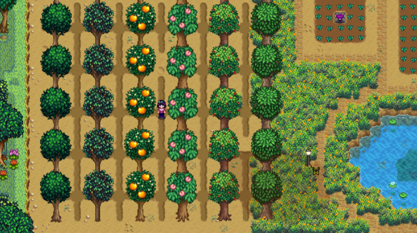 星露谷物语夏天种什么树