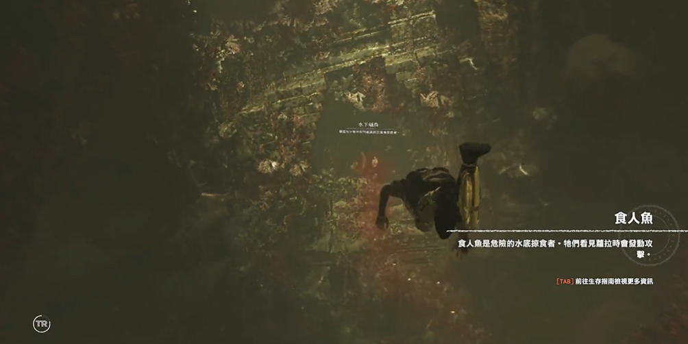古墓丽影食人鱼怎么过