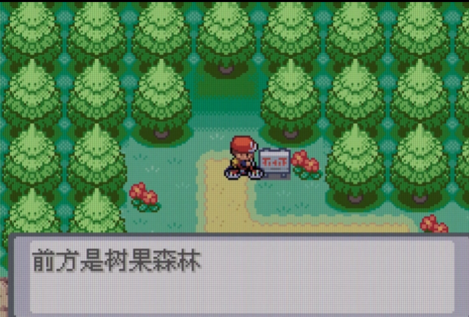 口袋妖怪火红树果森林怎么走