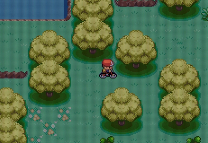 口袋妖怪火红树果森林怎么走