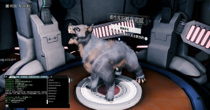 星际战甲猫咪去哪里抓