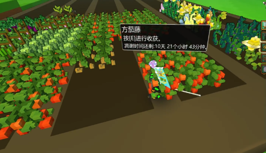 宝藏世界瓶子怎么种植 宝藏世界瓶子怎么种植